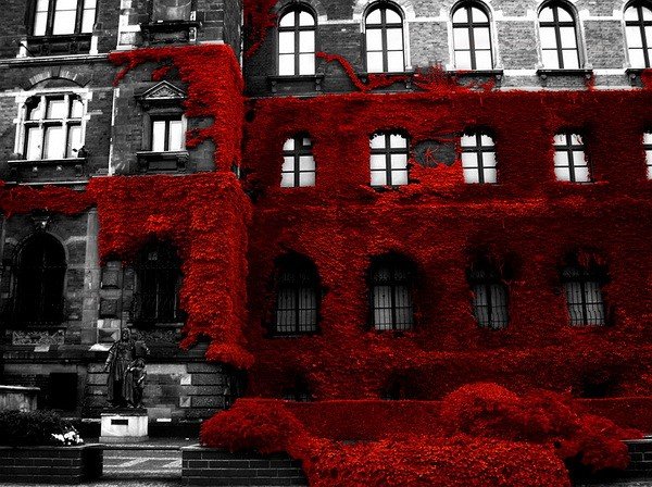 Всяко-разно...