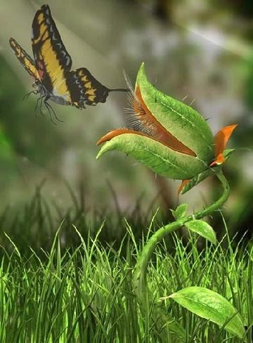 Хищные растения