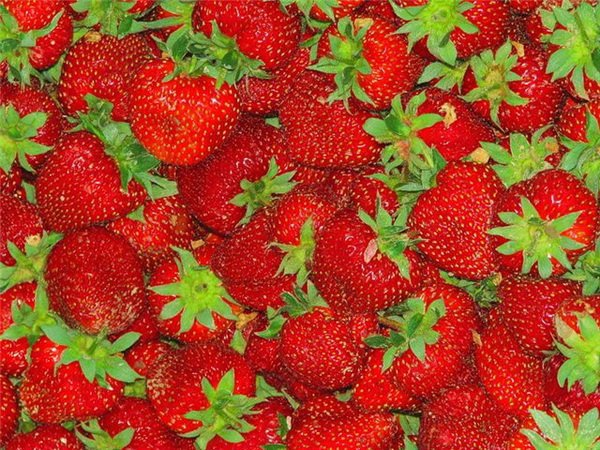 Всяко-разно