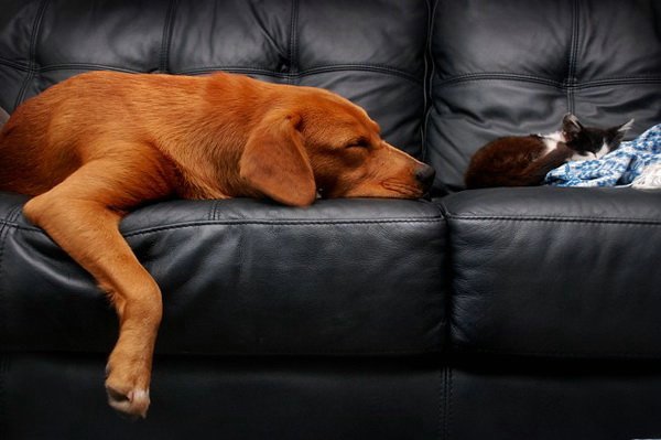 Всяко-разно