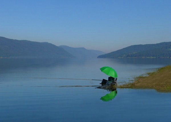 Всяко-разно