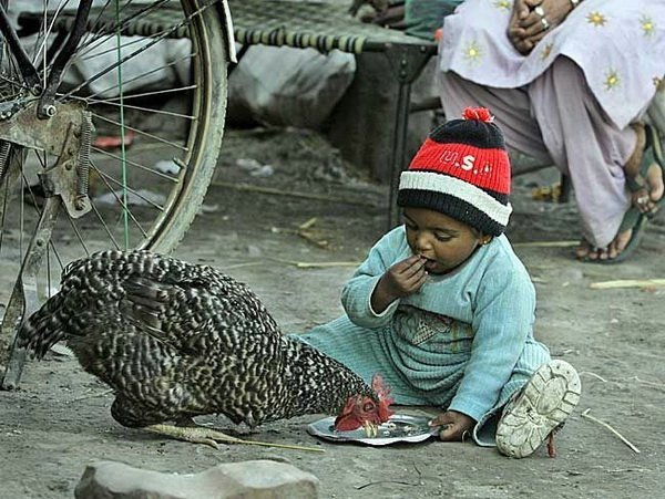 Всяко-разно