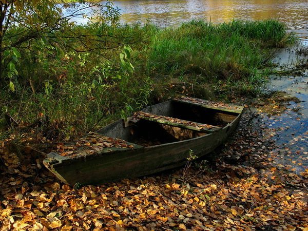 Всяко-разно