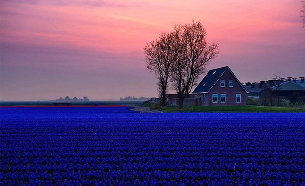 Всяко-разно