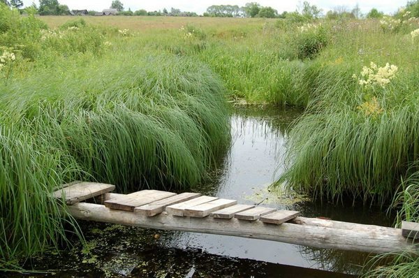 Всяко-разно