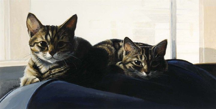 Рисованные кошки от Celia Pike