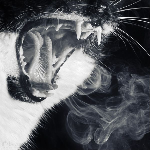 Всяко-разно