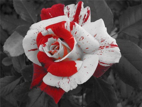 Всяко-разно