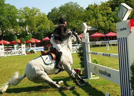 Всяко-разно