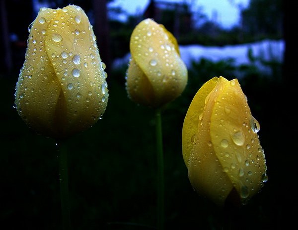 Всяко-разно