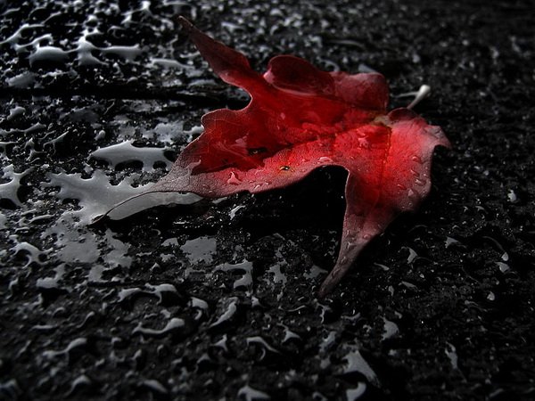 Всяко-разно