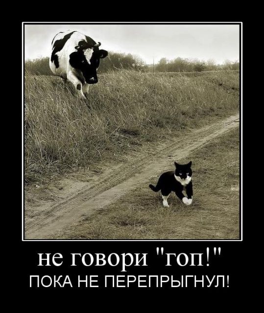 Черный (в рамочках) юмор, часть 3