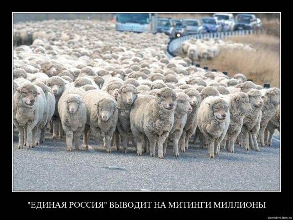 Черный (в рамочках) юмор, часть 3