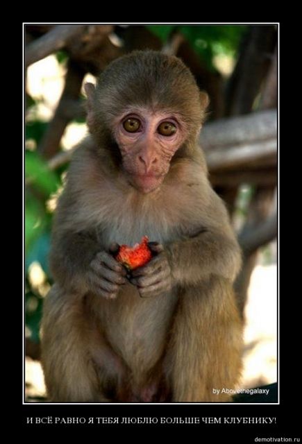 Черный (в рамочках) юмор, часть 3