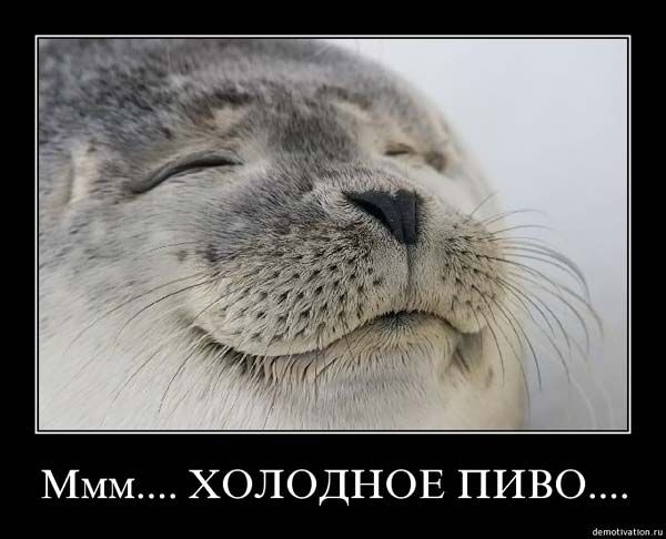 Черный (в рамочках) юмор, часть 3