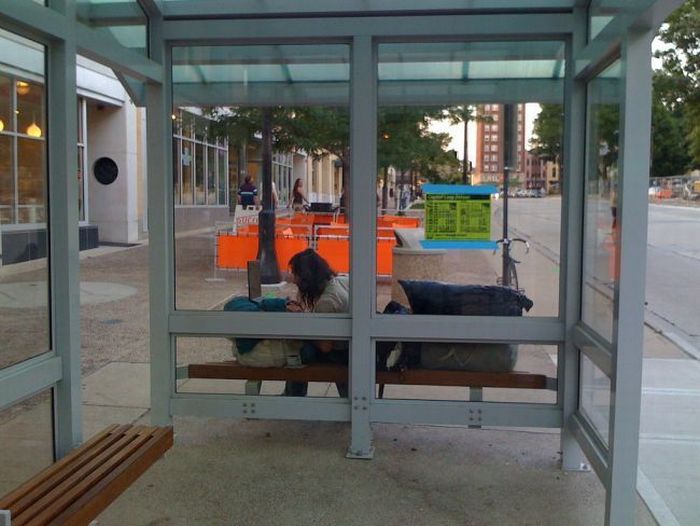 Бомжы блггеры (США)