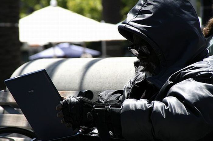 Бомжы блггеры (США)