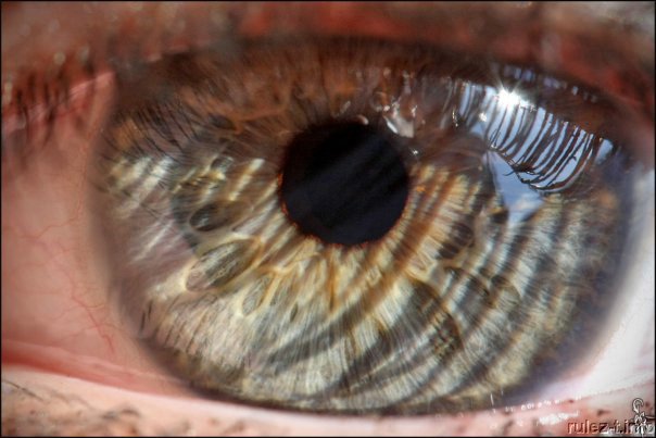 Красивые глаза (37 фото)