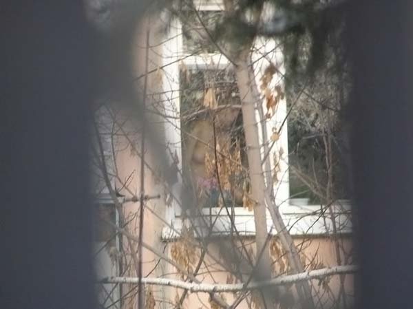 Соседки- соседушки (Ню)