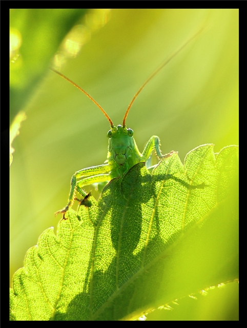 Прикольные картинки (45 штук)
