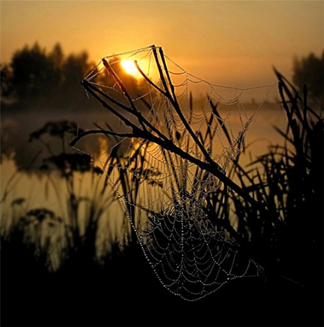 Прикольные картинки (45 штук)