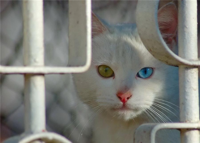 Прикольные картинки (45 штук)