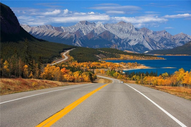 Прикольные картинки (45 штук)