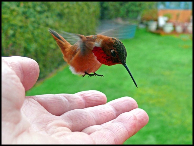 Прикольные картинки (45 штук)