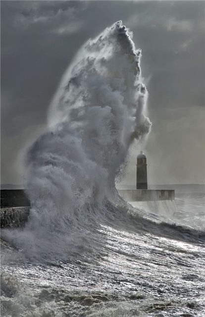 Прикольные картинки (45 штук)