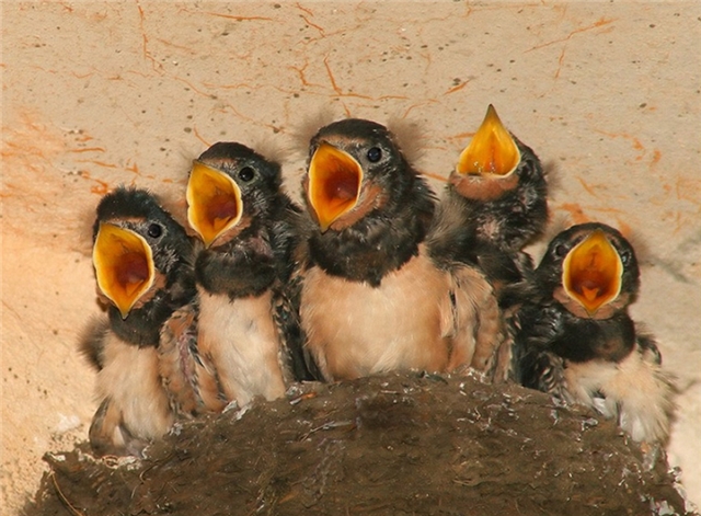 Прикольные картинки (45 штук)