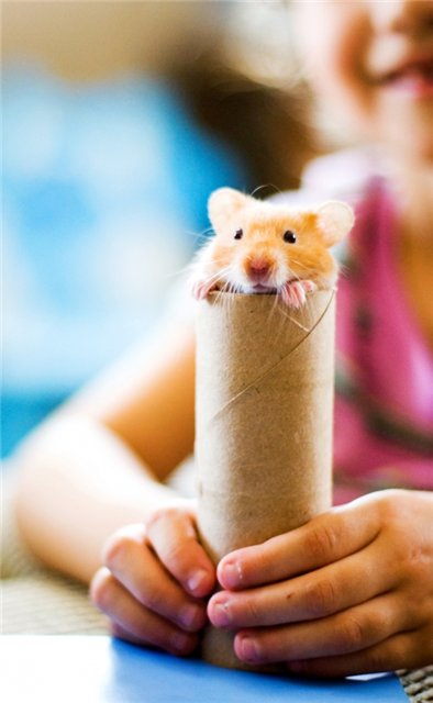 Прикольные картинки (45 штук)