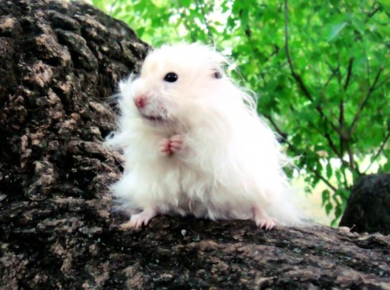 Прикольные картинки (45 штук)