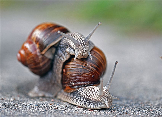 Прикольные картинки (45 штук)