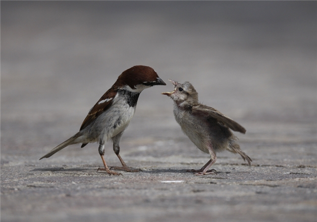 Прикольные картинки (45 штук)