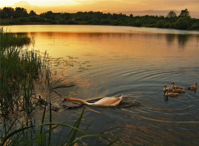 Прикольные картинки (45 штук)