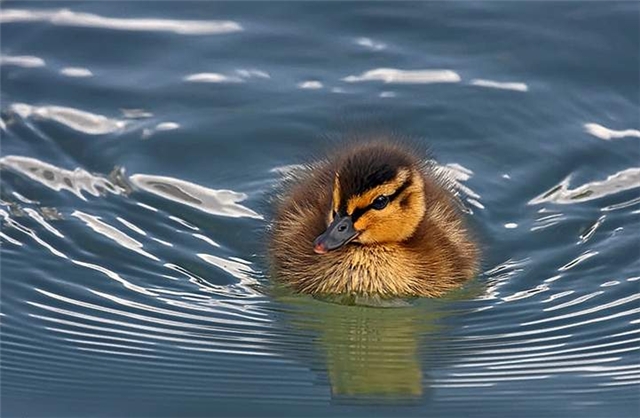 Прикольные картинки (45 штук)