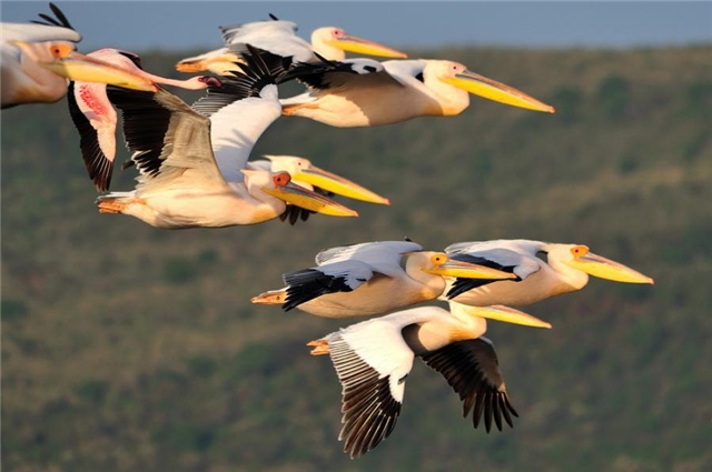 Прикольные картинки (45 штук)