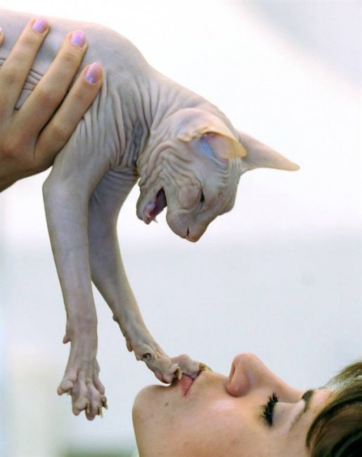 Всяко-разно