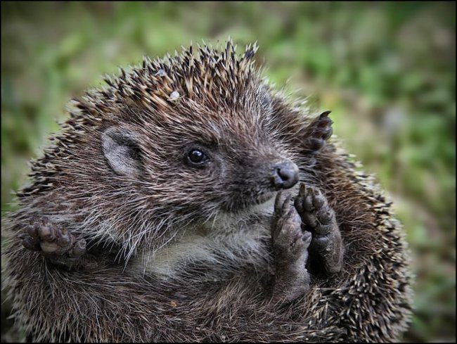 Всяко-разно