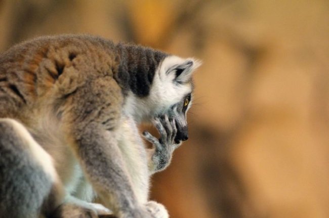 Всяко-разно