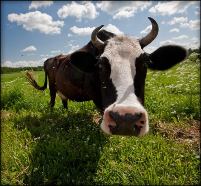 Всяко-разно