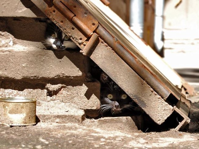 Всяко-разно