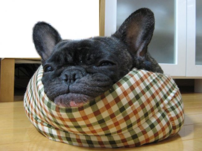 Всяко-разно