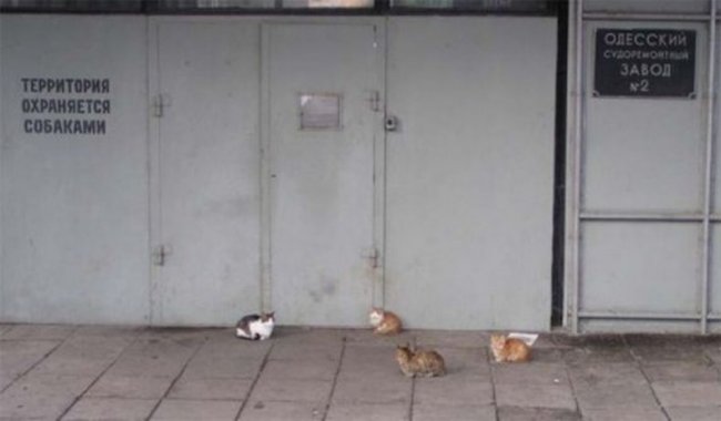 Всяко-разно