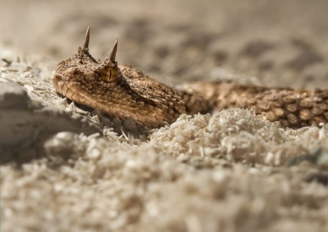 Всяко-разно