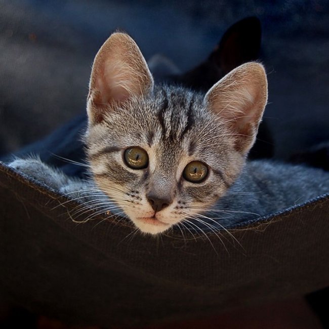 Всяко-разно