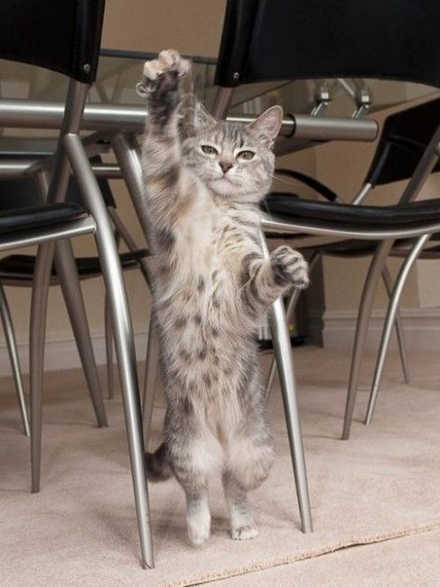 Всяко-разно