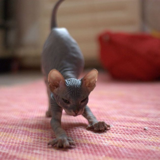 Всяко-разно