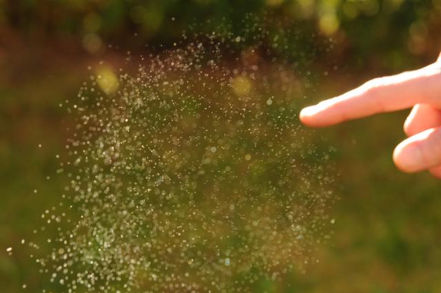 Мыльные пузырики