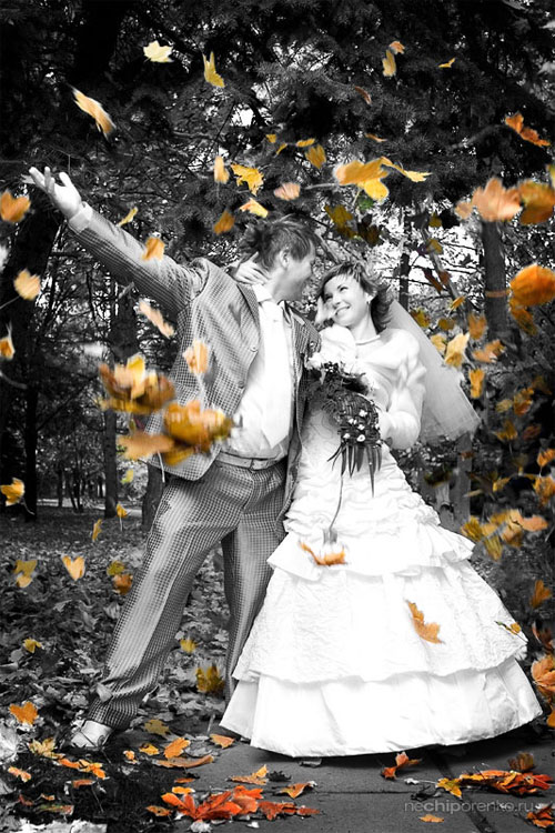 Прикольные свадебные фото